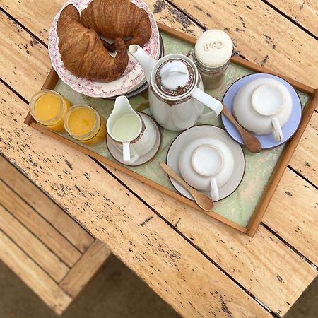 Hotel Ecoturisme Mas Ribas Palamós Zewnętrze zdjęcie